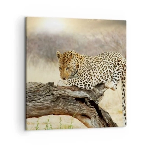 Bild auf Leinwand - Leinwandbild - Ich gehe meine eigenen Wege - 50x50 cm