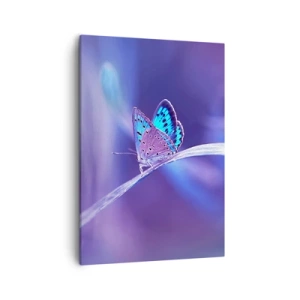 Bild auf Leinwand - Leinwandbild - Ein zarter blauer Schmetterling auf einem Stängel in violettem Licht - 50x70cm - Ein Juwel der Natur - Moderne Wanddekoration für Wohnzimmer und Schlafzimmer ARTTOR