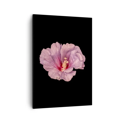 Bild auf Leinwand - Leinwandbild - Rosa Blume auf schwarzem Hintergrund - 50x70cm - Direkt ins Herz - Moderne Wanddekoration für Wohnzimmer und Schlafzimmer ARTTOR