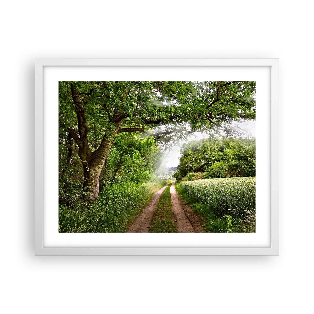 Poster in einem weißen Rahmen - Et in Arcadia ego - 50x40 cm