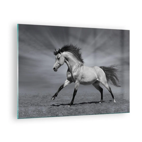 Glasbild - Bild auf glas - Ein Schwarzweißfoto eines galoppierenden Pferdes auf einem offenen Feld. - 70x50cm - Geboren um Freude zu bereiten - Moderne Wanddekoration für Wohnzimmer und Schlafzimmer ARTTOR