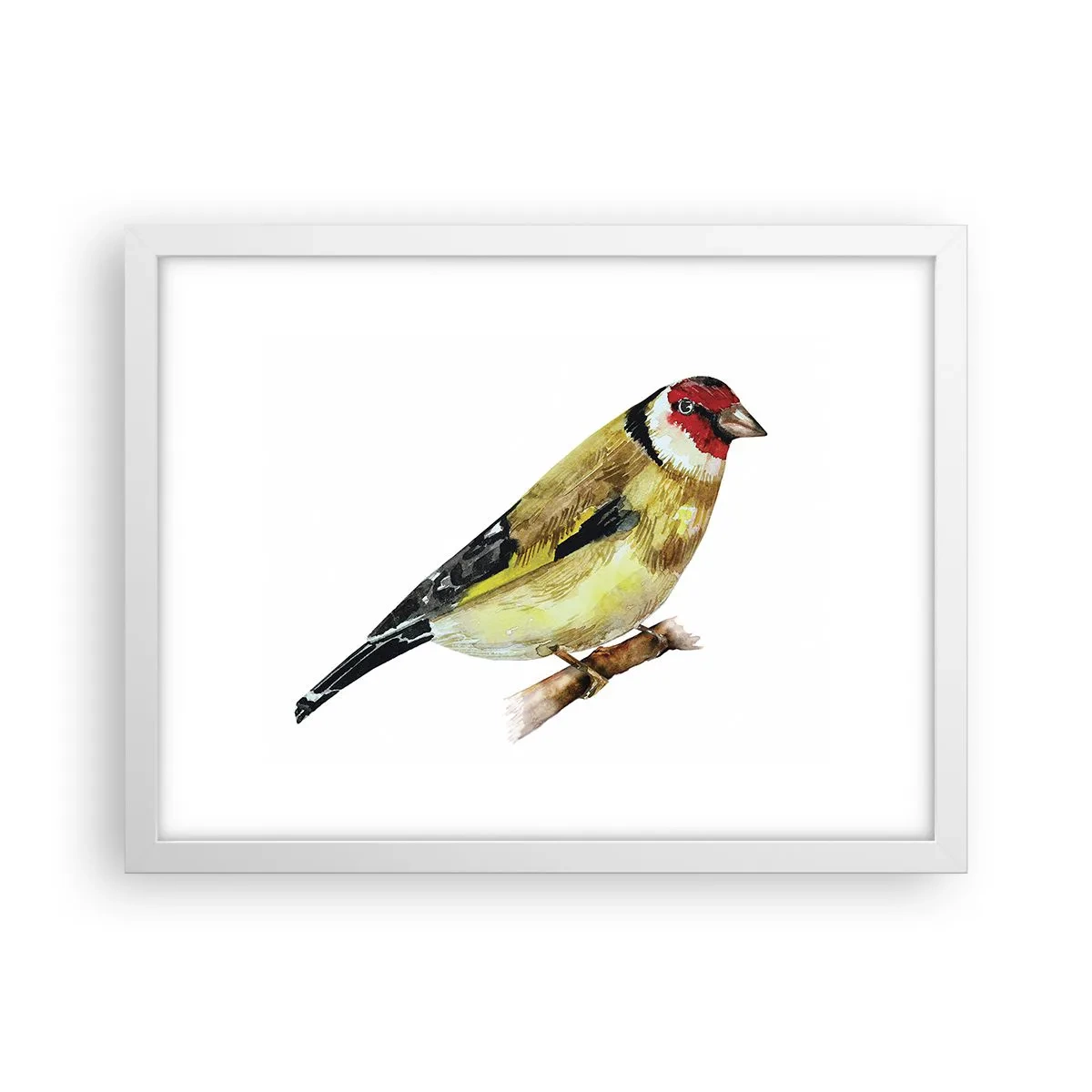 Poster in einem weißen Rahmen - Vogelporträt - 40x30 cm