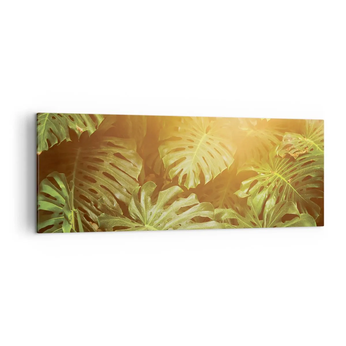 Bild auf Leinwand - Leinwandbild - Monstera-Blätter im Sonnenlicht vor einem natürlichen Hintergrund - 140x50cm - Ins Grüne tretren... - Moderne Wanddekoration für Wohnzimmer und Schlafzimmer ARTTOR