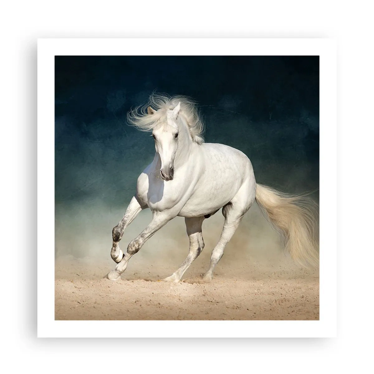 Poster - Freiheit in ihrem reinen Zustand - 60x60 cm