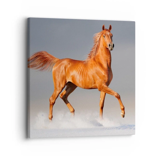 Bild auf Leinwand - Leinwandbild - Tanzende Anmut - 30x30 cm