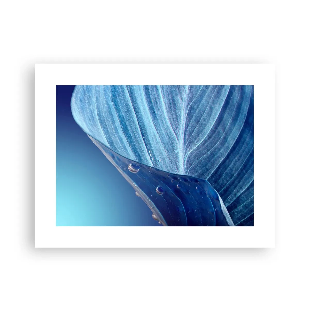 Poster - Versteckte Tropfen vom Blau - 40x30 cm