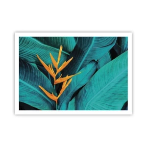 Poster - Eine exotische Blume vor einem Hintergrund aus Bananenblättern in Türkistönen. - 100x70cm - Eden-Blume - Moderne Wanddekoration für Wohnzimmer und Schlafzimmer ARTTOR
