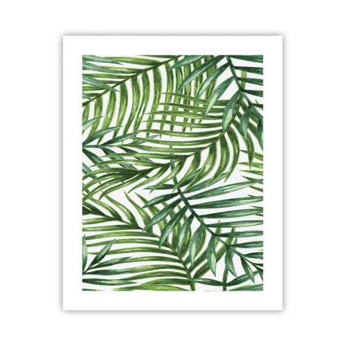 Poster - Unter dem grünen Baldachin - 40x50 cm