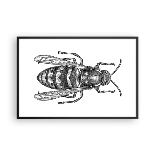 Poster in einem schwarzem Rahmen - Von einem Insektenplaneten - 91x61 cm