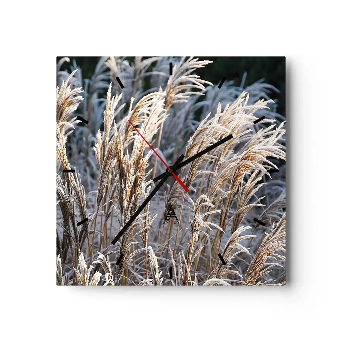 Wanduhr - Glasuhr - Winterliche Grashalme mit Frost bedeckt vor einem dunkelgrünen Hintergrund - 30x30cm - Gekleidet mit Frost - Moderne Wanddekoration für Wohnzimmer und Schlafzimmer ARTTOR