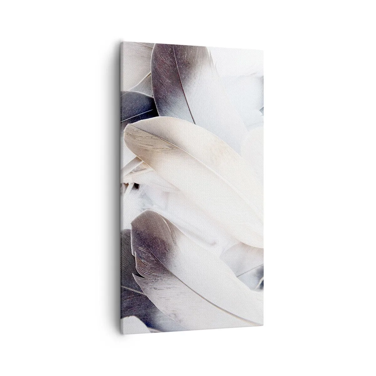 Bild auf Leinwand - Leinwandbild - Fast engelhaft - 55x100 cm