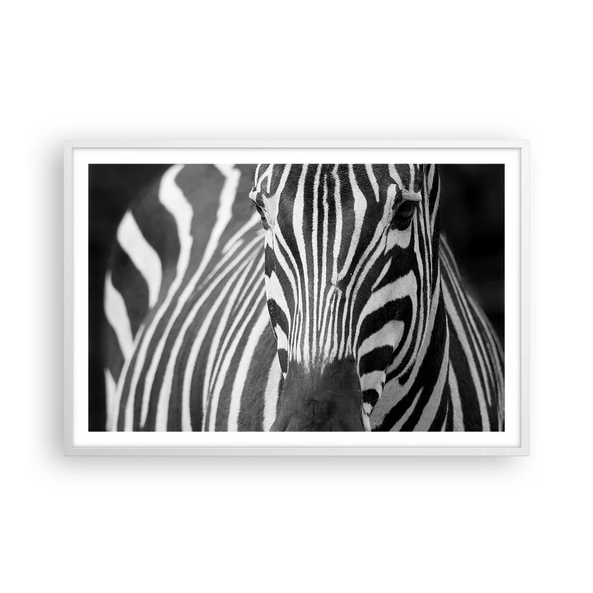 Poster in einem weißen Rahmen - Die Welt ist schwarz und weiß - 91x61 cm