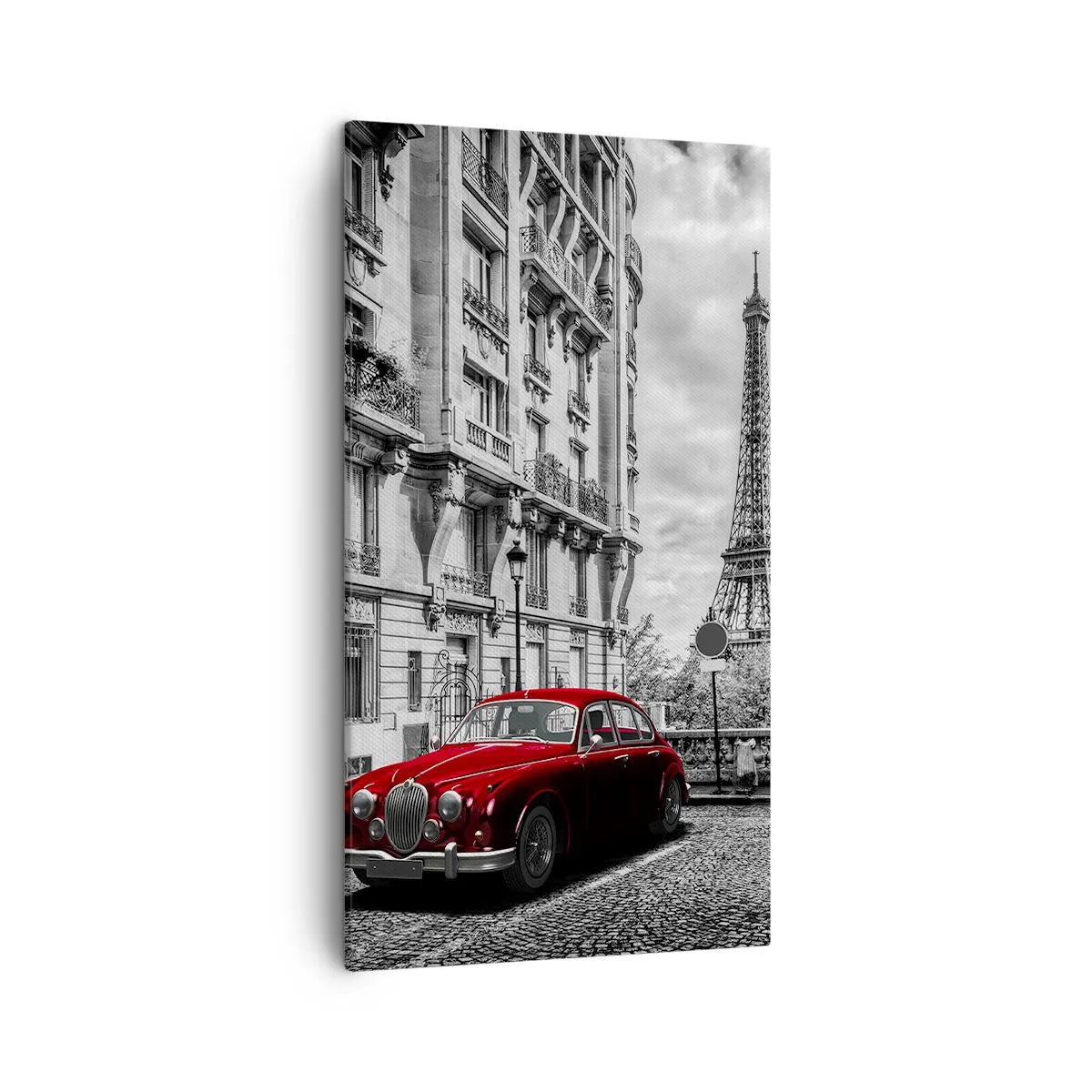 Bild auf Leinwand - Leinwandbild - Raubtier in der Stadt - 45x80 cm