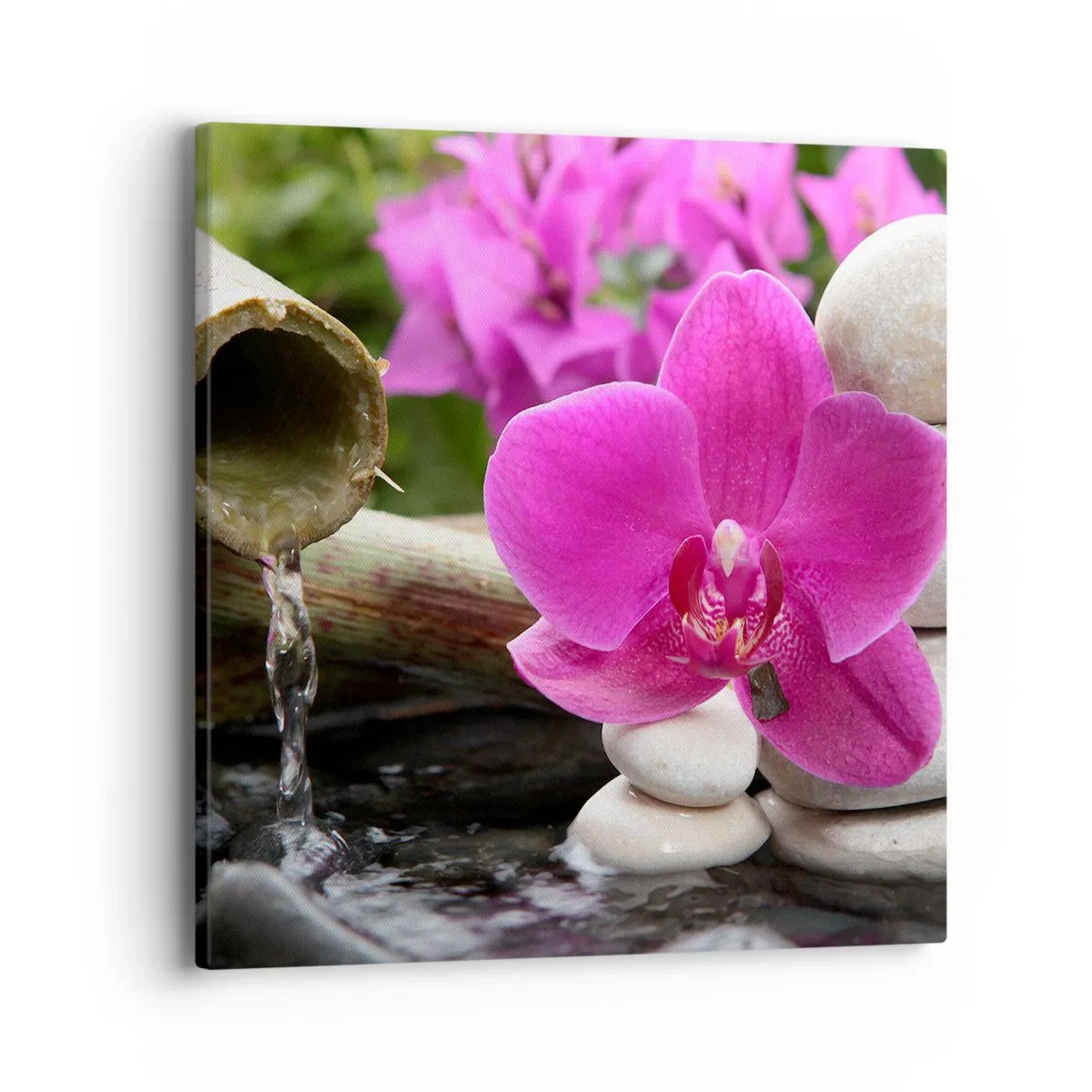 Bild auf Leinwand - Leinwandbild - Du ruhst dich schon aus - 40x40 cm