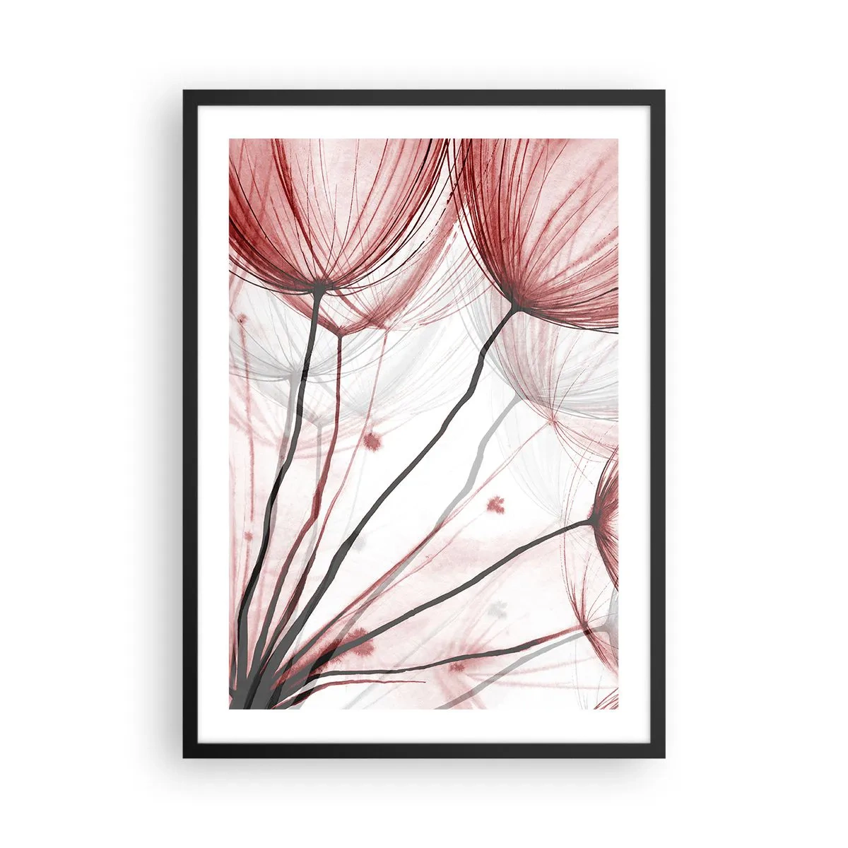 Poster in einem schwarzem Rahmen - Zarte Löwenzahnblüten in Rot- und Schwarztönen - 50x70cm - Vor der Abfahrt - Moderne Wanddekoration für Wohnzimmer und Schlafzimmer ARTTOR