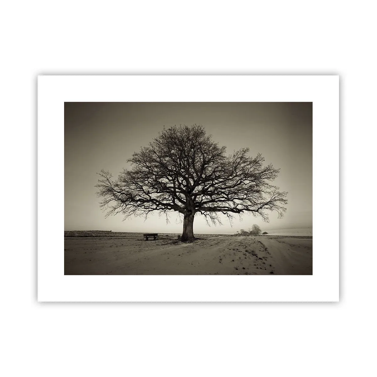 Poster - Von hier zu Ewigkeit - 40x30 cm