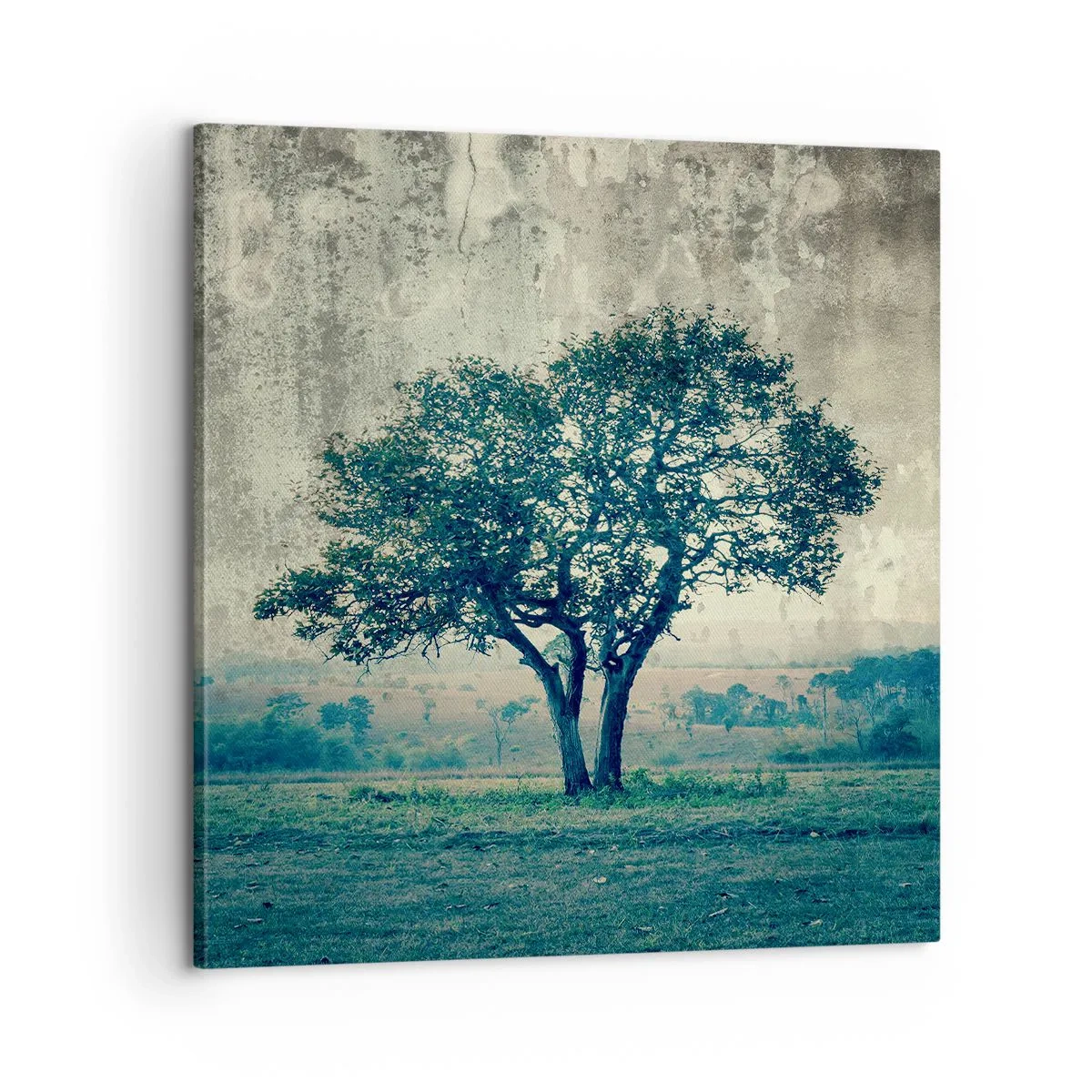 Bild auf Leinwand - Leinwandbild - Ein Apfelbaum auf blauem Feld? - 60x60 cm