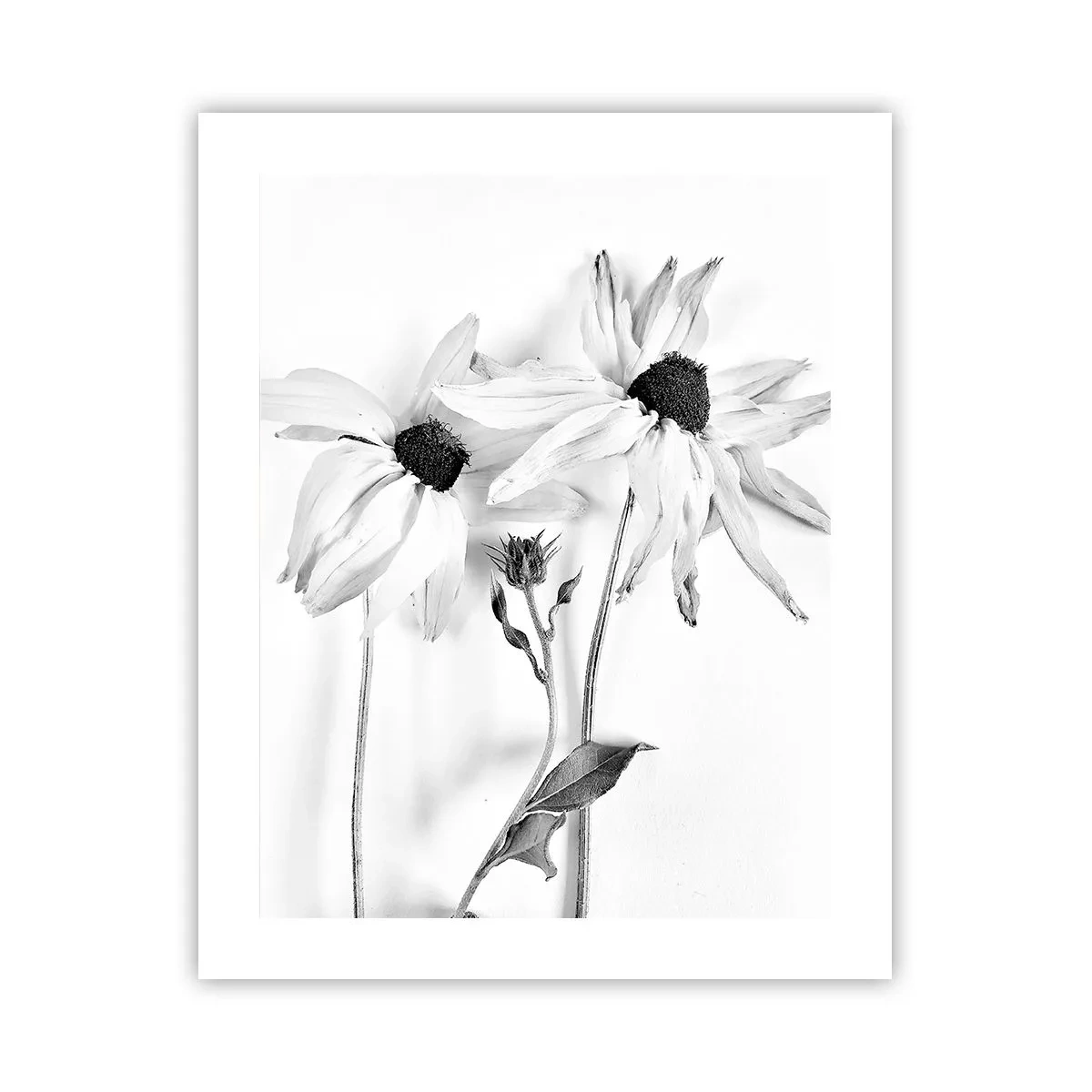 Poster - Niemand will allein sein - 40x50 cm