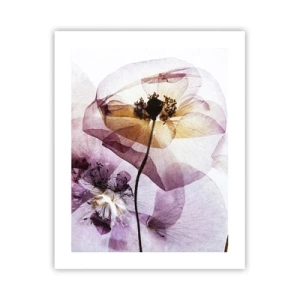 Poster - Transparente Körperblumen - 40x50 cm