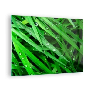 Glasbild - Bild auf glas - Grüne Grashalme mit Tautropfen - 70x50cm - Grün spielen - Moderne Wanddekoration für Wohnzimmer und Schlafzimmer ARTTOR