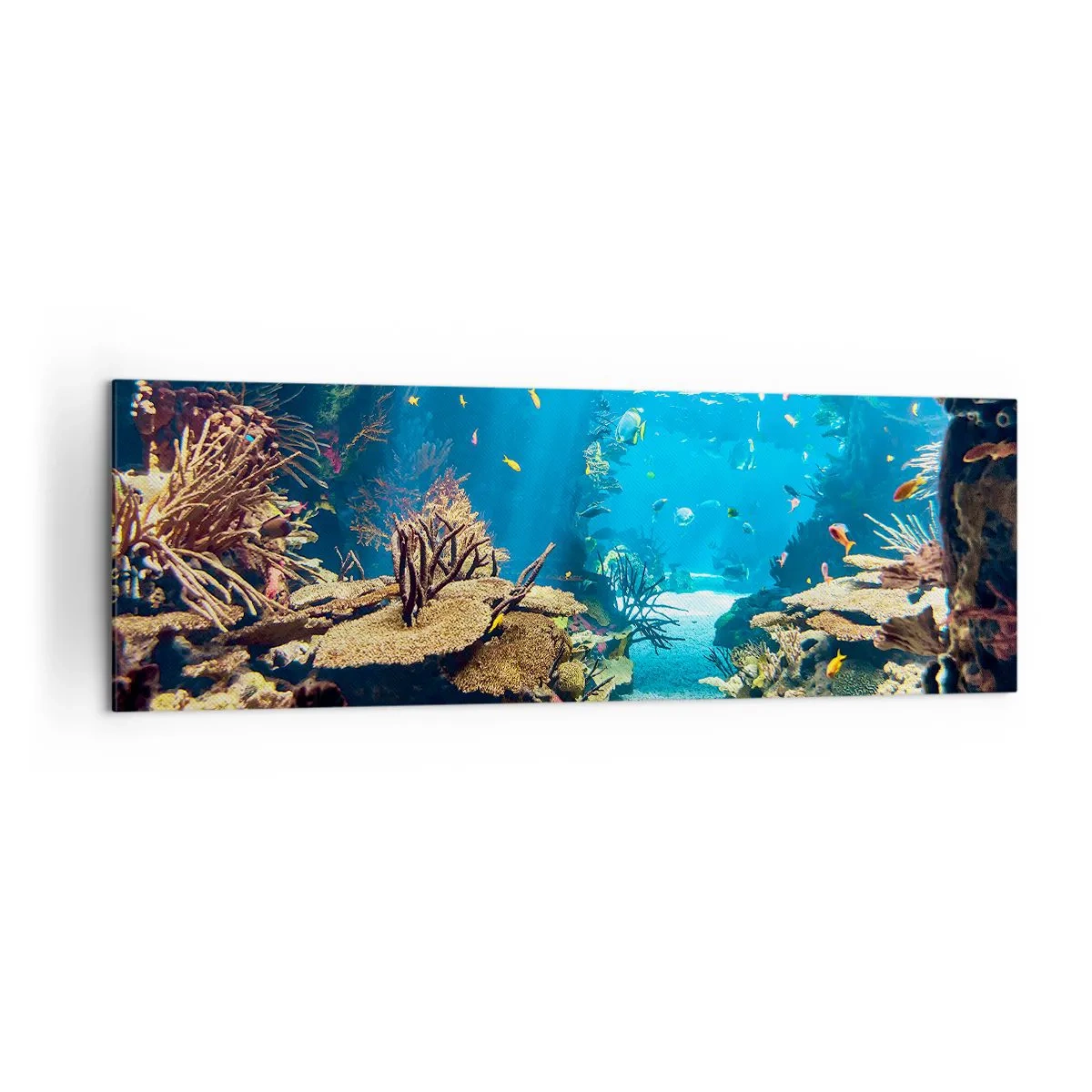 Bild auf Leinwand - Leinwandbild - Unterwasserwelt mit Korallenriff und Fischen - 160x50cm - Du hast es noch nicht einmal geträumt - Moderne Wanddekoration für Wohnzimmer und Schlafzimmer ARTTOR