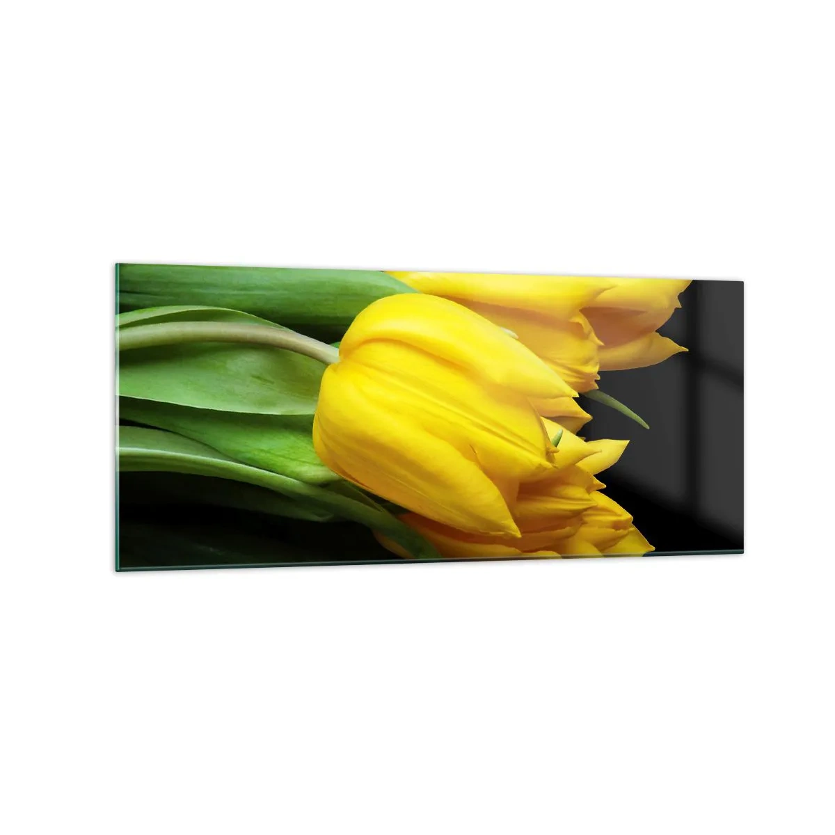 Glasbild - Bild auf glas - Ein Strauß gelber Tulpen auf schwarzem Hintergrund - 120x50cm - Aus klarer Sonne entstanden - Moderne Wanddekoration für Wohnzimmer und Schlafzimmer ARTTOR