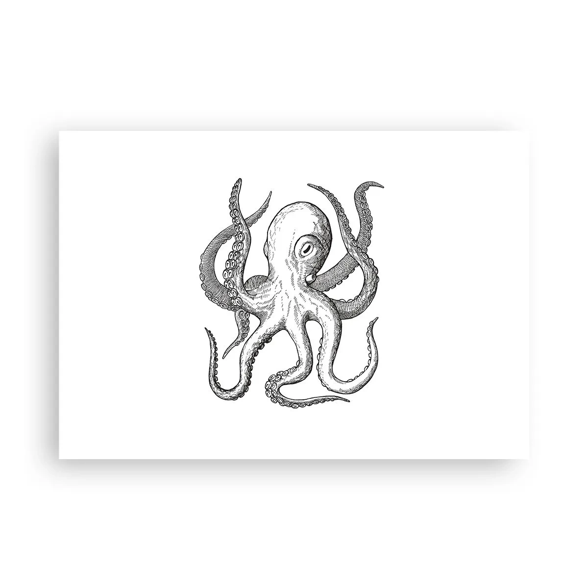 Poster - Schwarz-weiße Zeichnung eines Oktopus auf weißem Hintergrund im Vintage-Stil - 100x70cm - Mit den Wellen tanzen - Moderne Wanddekoration für Wohnzimmer und Schlafzimmer ARTTOR