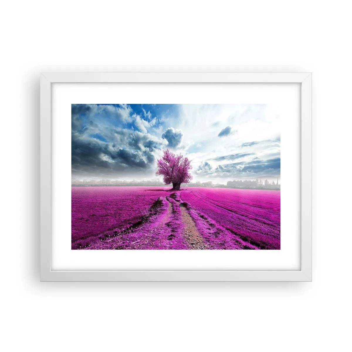 Poster in einem weißen Rahmen - Heide - Wildnis - 40x30 cm