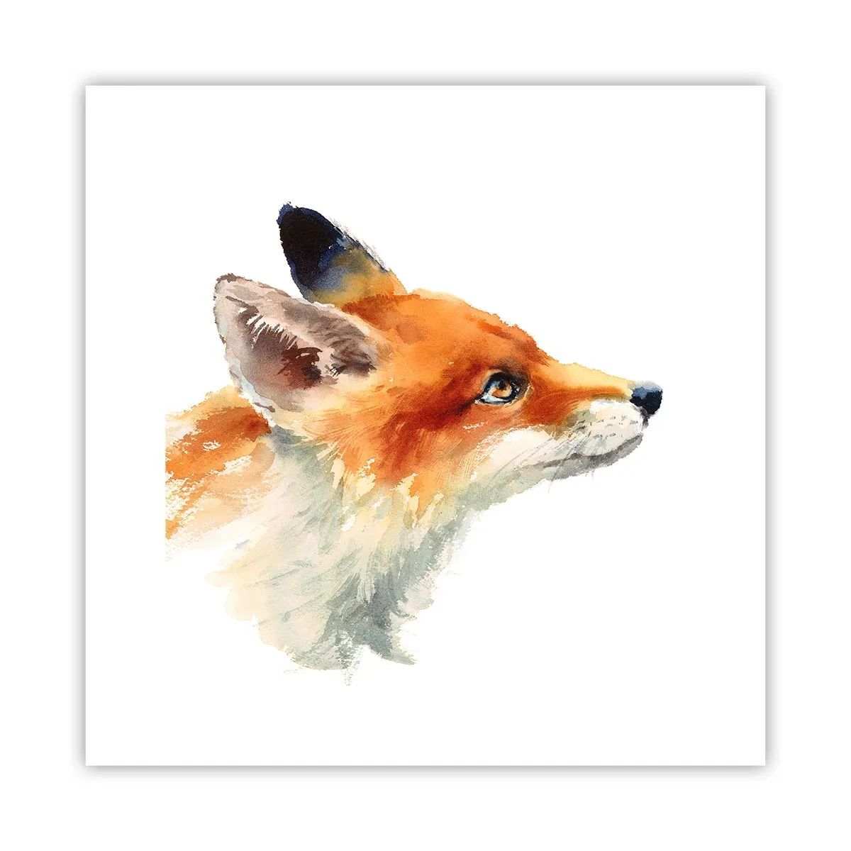 Poster - Man kann nie vorsichtig genug sein - 30x30 cm