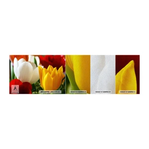 Fototapeten Muster Premium Sand - Tulpenfieber - Blumen, Tulpen, Blumenstrauß - 100x30 cm