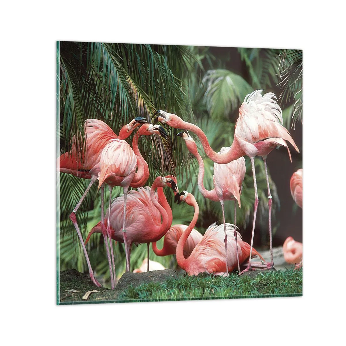 Glasbild - Bild auf glas - Nachmittagsklatsch - 30x30 cm