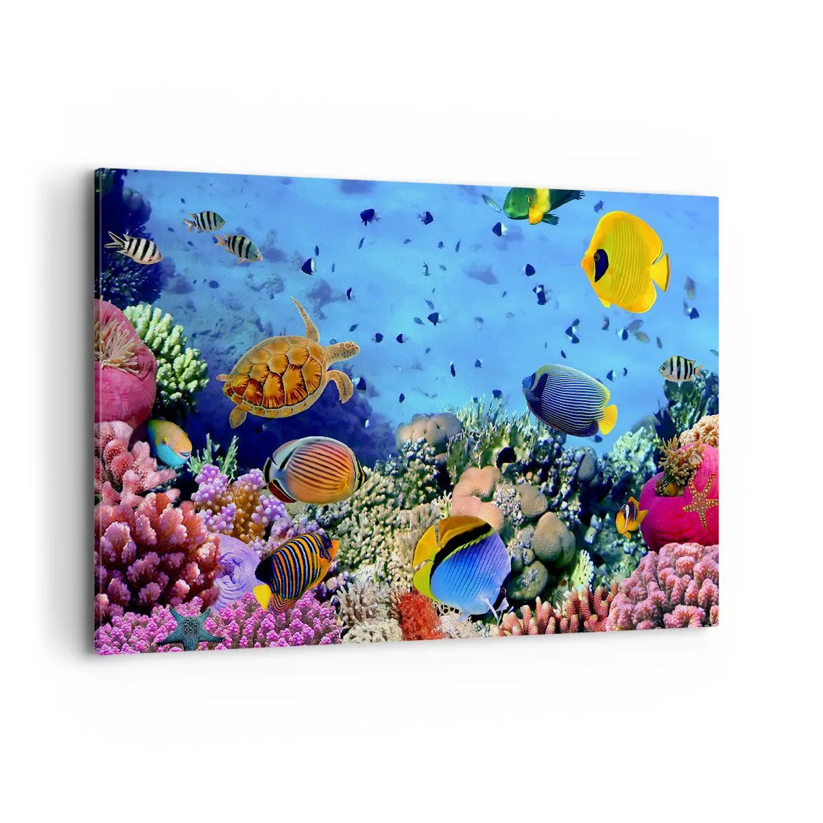Bild auf Leinwand - Leinwandbild - Korallenriff mit bunten Fischen und einer Meeresschildkröte - 120x80cm - Und was wissen wir über das Leben ... - Moderne Wanddekoration für Wohnzimmer und Schlafzimmer ARTTOR