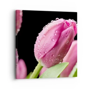 Bild auf Leinwand - Leinwandbild - Lila Traum im Tau - 30x30 cm