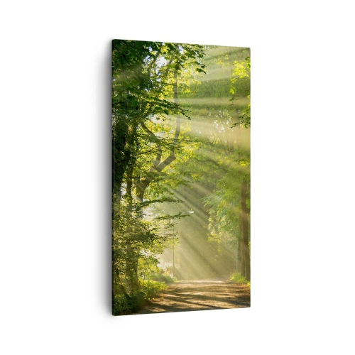 Bild auf Leinwand - Leinwandbild - Waldmoment - 45x80 cm