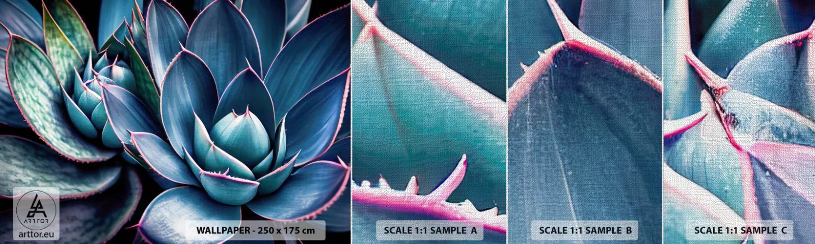 Fototapeten Muster Premium Canvas - Lebenskraft - Blumen, Botanik, Sukkulenten - 100x30 cm