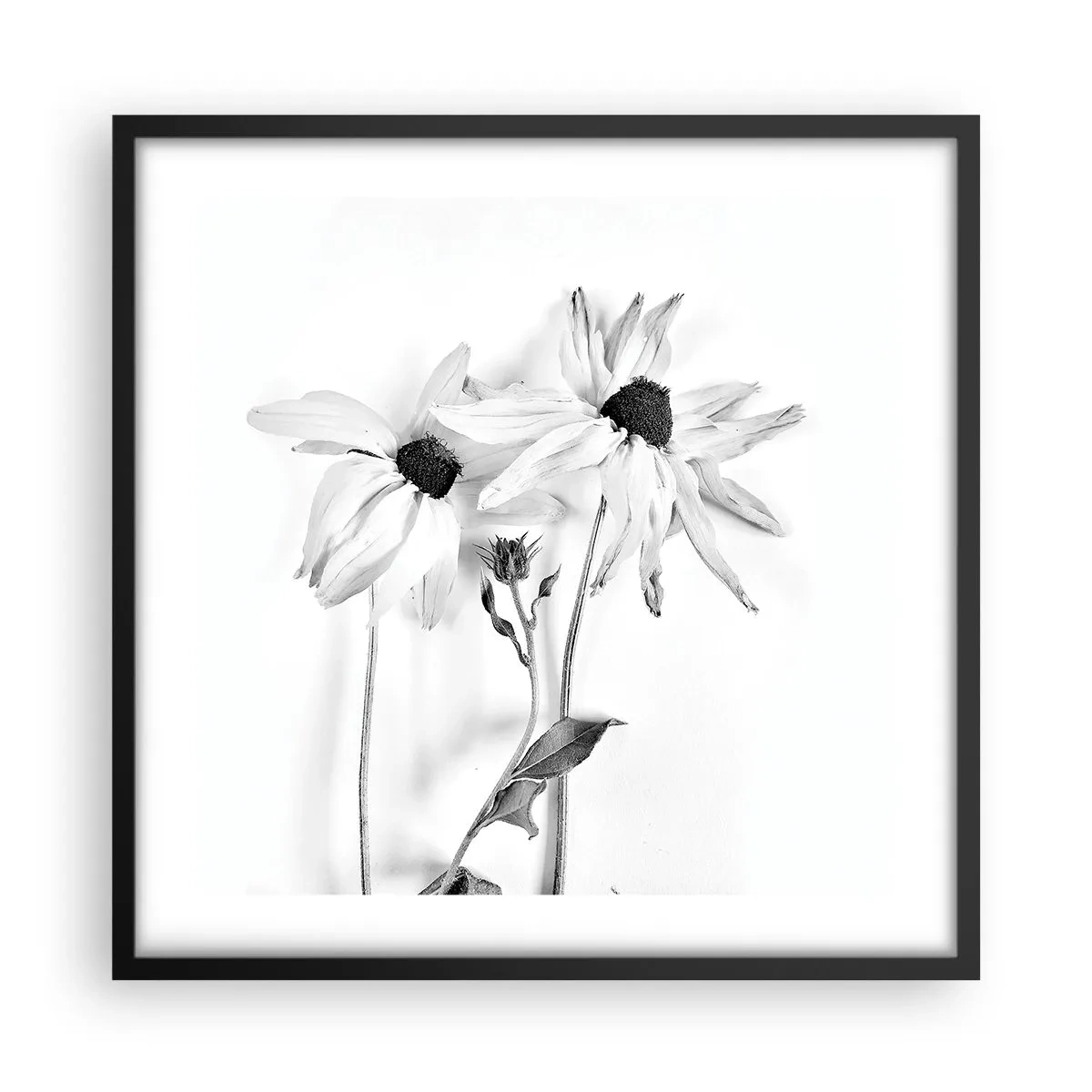 Poster in einem schwarzem Rahmen - Niemand will allein sein - 50x50 cm