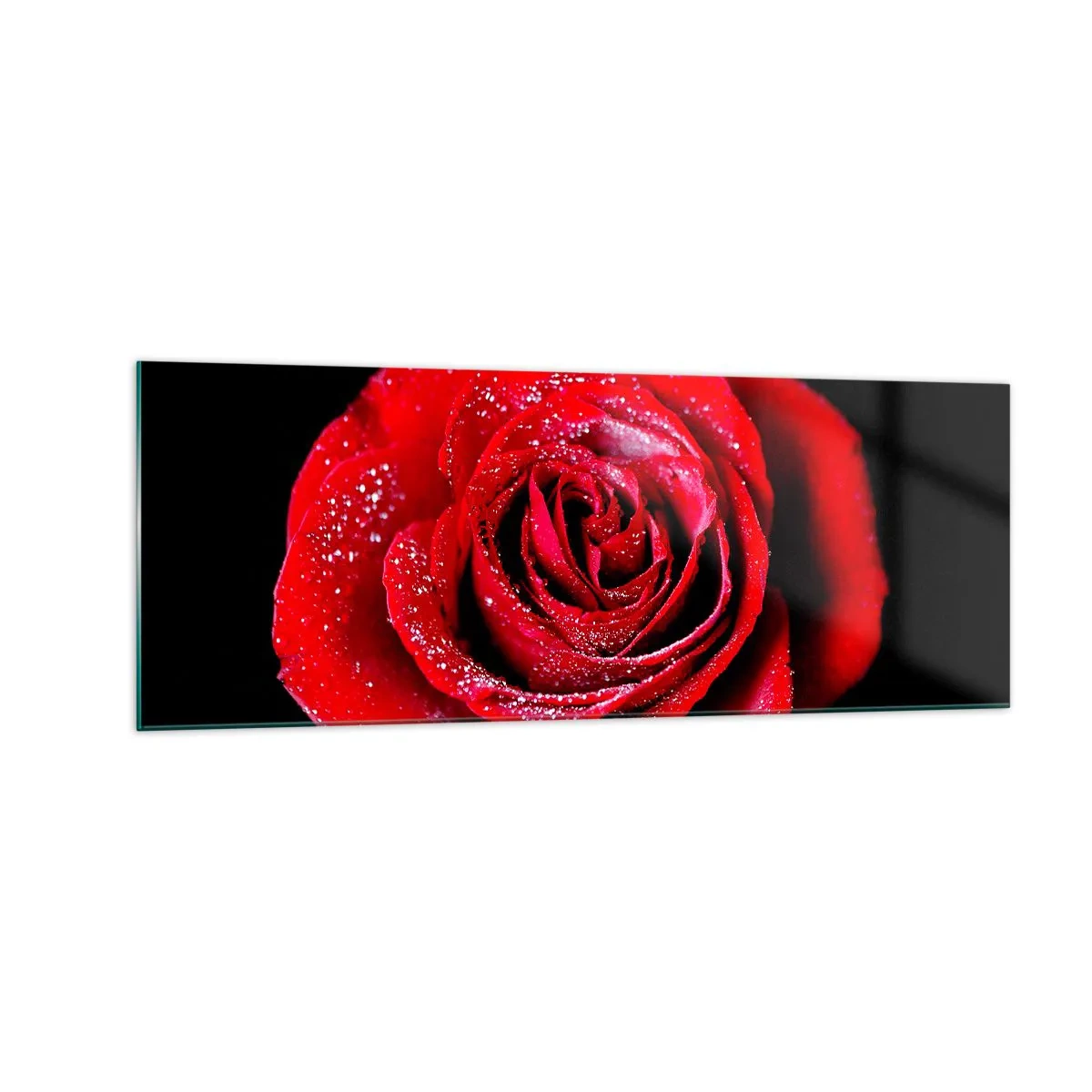 Glasbild - Bild auf glas - Eine rote Rose mit Tautropfen auf schwarzem Hintergrund. - 140x50cm - Das ist Liebe - Moderne Wanddekoration für Wohnzimmer und Schlafzimmer ARTTOR