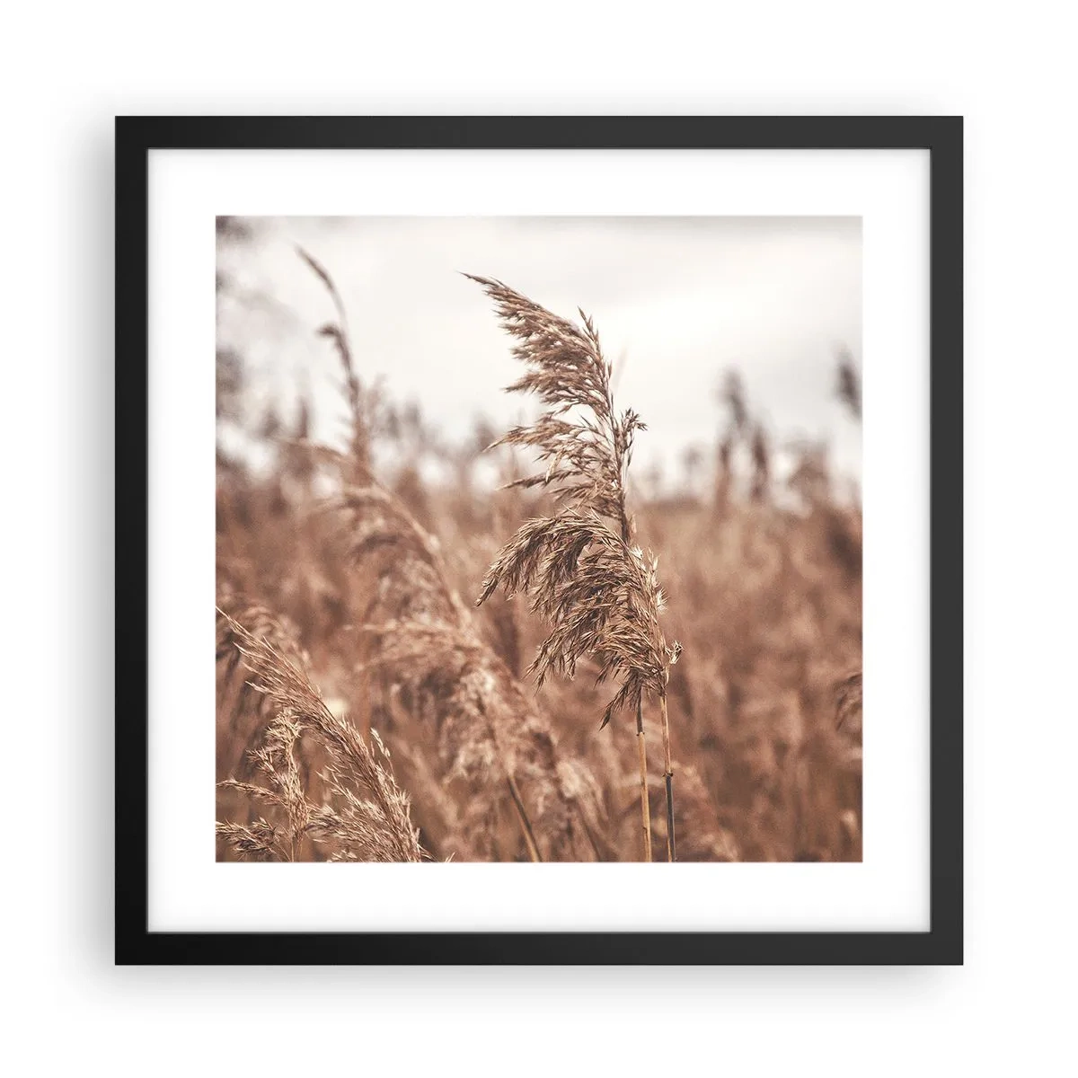 Poster in einem schwarzem Rahmen - Auf den Feldern ist es schon Herbst - 40x40 cm
