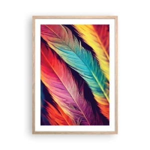 Poster in einem Rahmen aus heller Eiche - Gefiederter Regenbogen - 50x70 cm