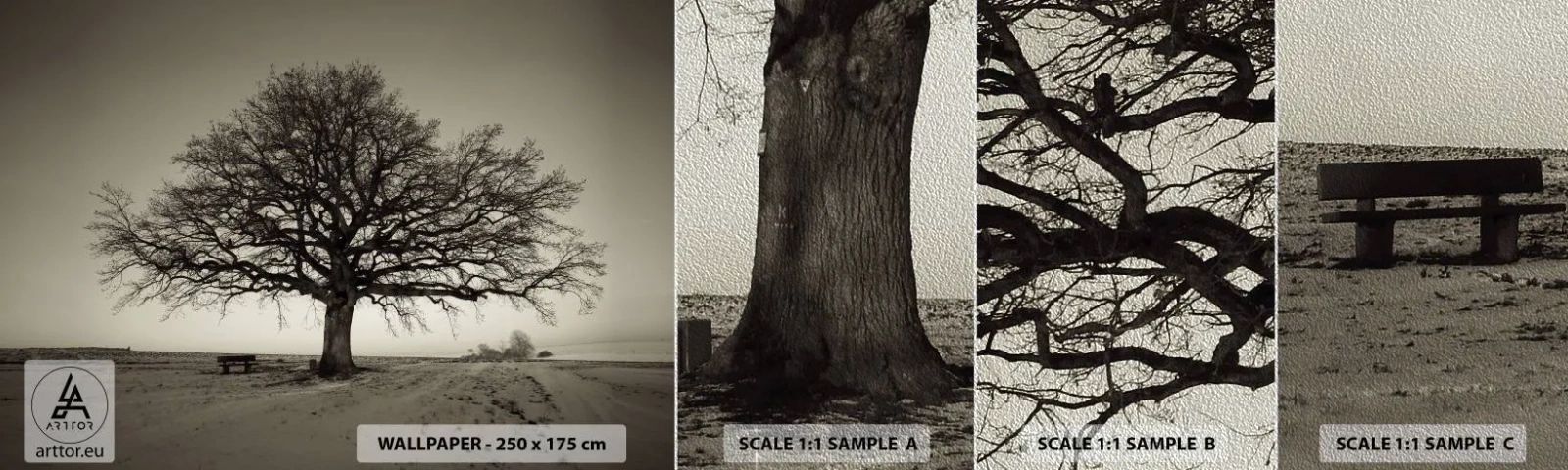 Fototapeten Muster Premium Sand - Von hier zu Ewigkeit - Landschaft, Baum, Natur - 100x30 cm