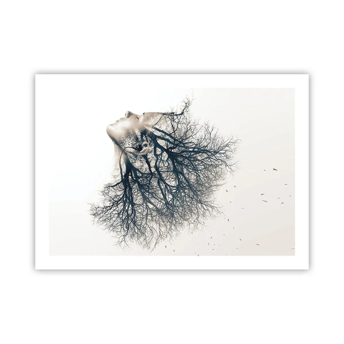 Poster - Dem Rauschen der Bäume lauschen - 70x50 cm