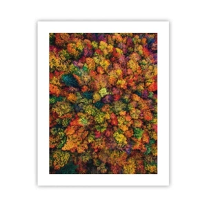 Poster - Blumenstrauß aus Herbstbäumen - 40x50 cm