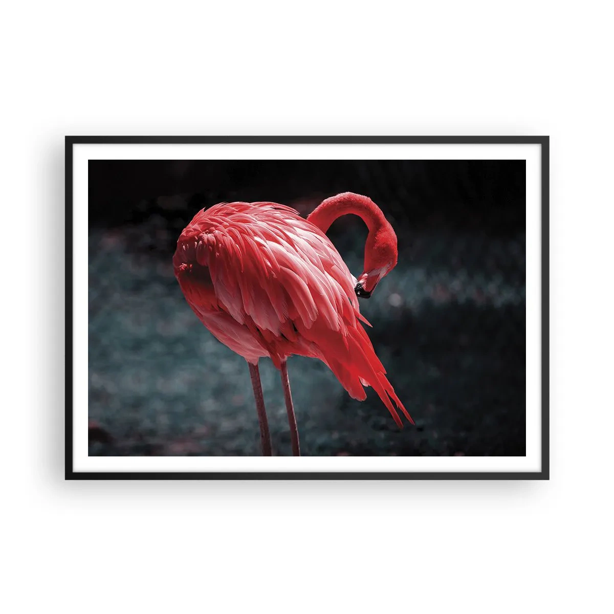 Poster in einem schwarzem Rahmen - Ein rosa Flamingo auf dunkelgrünem Hintergrund - 100x70cm - Ein purpurrotes Gedicht der Natur - Moderne Wanddekoration für Wohnzimmer und Schlafzimmer ARTTOR
