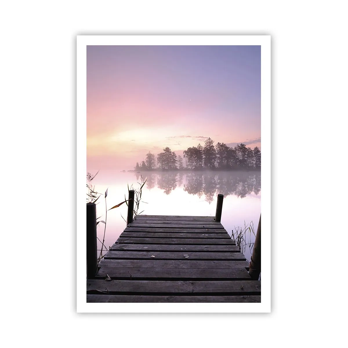 Poster - Aus dem lila Nebel ... - 70x100 cm