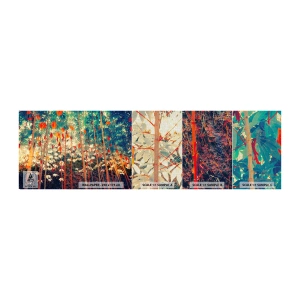 Fototapeten Muster Premium Canvas - Das geheime Leben der Blätter - Tropenwald, Natur, Bäume - 100x30 cm