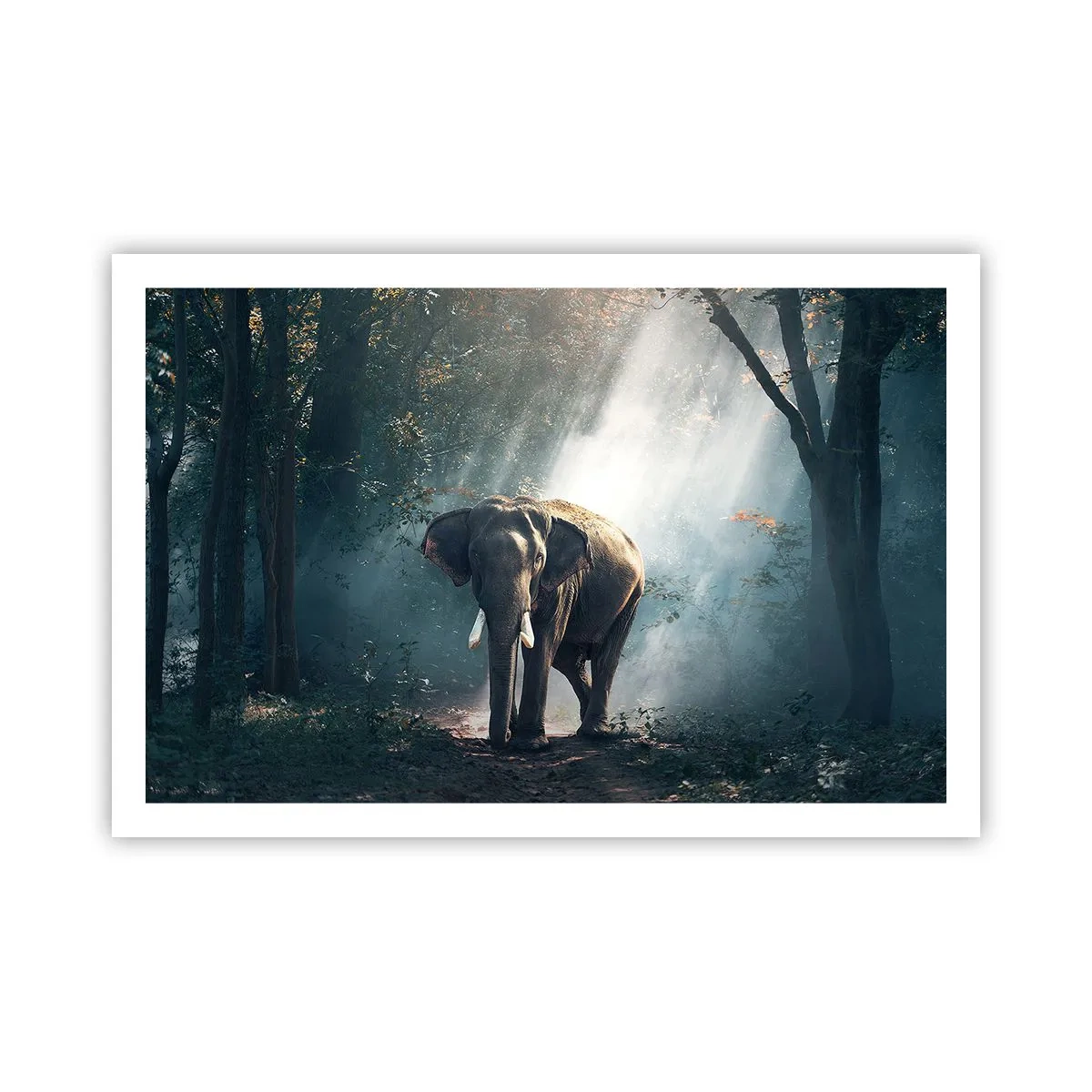 Poster - Ein gemütlicher Spaziergang - 91x61 cm