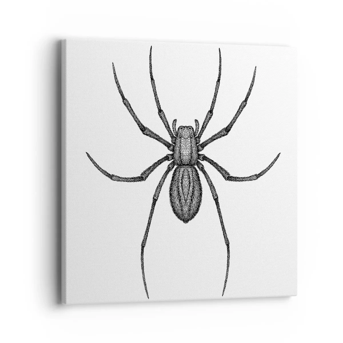 Bild auf Leinwand - Leinwandbild - Beunruhigende Präzision - 40x40 cm