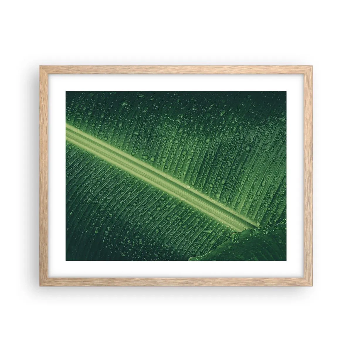 Poster in einem Rahmen aus heller Eiche - Die Struktur des Grüns - 50x40 cm