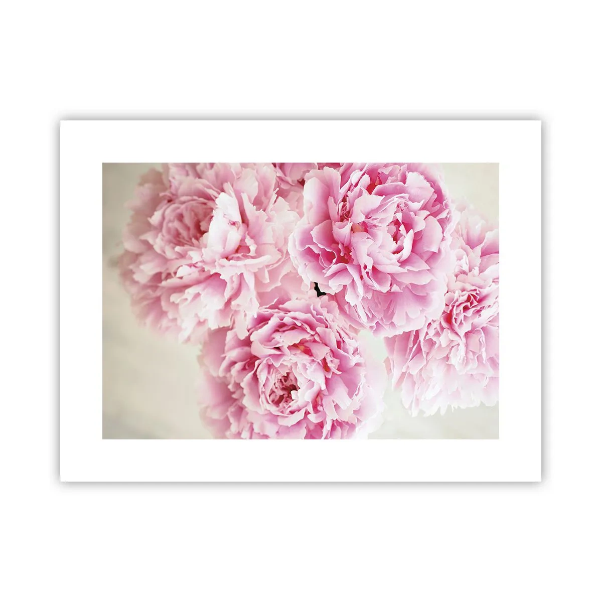 Poster - In rosa Glamour - 40x30 cm