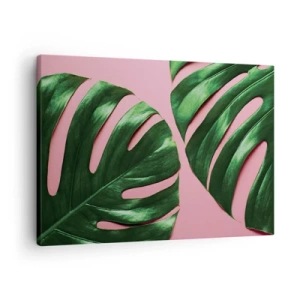 Bild auf Leinwand - Leinwandbild - Grüne Monstera-Blätter auf rosa Hintergrund - 70x50cm - Rendezvous im Grünen - Moderne Wanddekoration für Wohnzimmer und Schlafzimmer ARTTOR